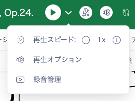 再生オプション